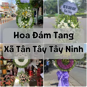 Đặt Hoa Đám Tang Xã Tân Tây Tây Ninh | Giao Tận Nơi