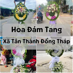 Đặt Hoa Đám Tang Xã Tân Thành Đồng Tháp | Hoa Tang Lễ