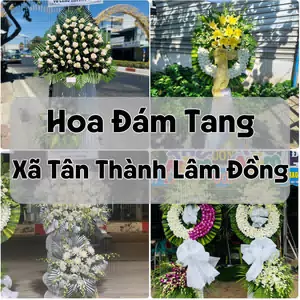 Đặt Hoa Đám Tang Xã Tân Thành Lâm Đồng | Hoa Tang Lễ