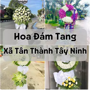 Đặt Hoa Đám Tang Xã Tân Thành Tây Ninh | Đặt Hoa Viếng