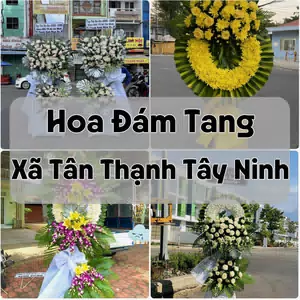 Đặt Hoa Đám Tang Xã Tân Thạnh Tây Ninh | Hoa Tang Lễ