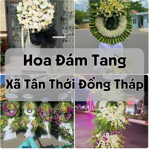 Đặt Hoa Đám Tang Xã Tân Thới Đồng Tháp | Hoa Tang Lễ