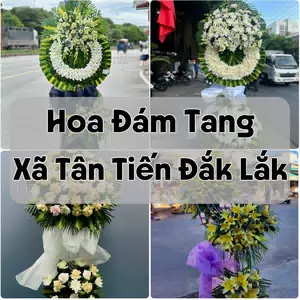 Đặt Hoa Đám Tang Xã Tân Tiến Đắk Lắk | Giao Tận Nơi