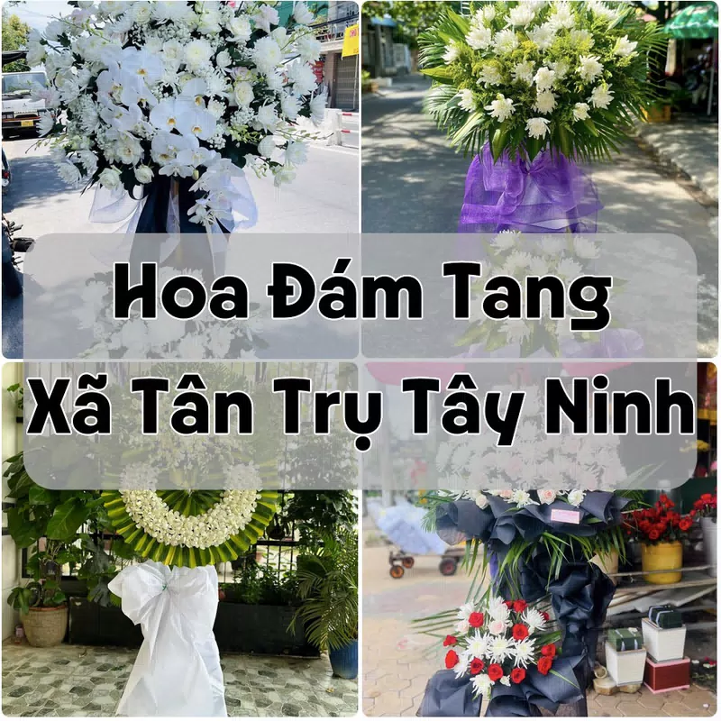 Đặt Hoa Đám Tang Xã Tân Trụ Tây Ninh | Đặt Hoa Nhanh