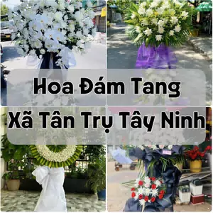 Đặt Hoa Đám Tang Xã Tân Trụ Tây Ninh | Đặt Hoa Nhanh
