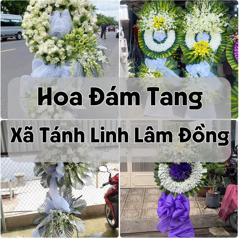 Đặt Hoa Đám Tang Xã Tánh Linh Lâm Đồng | Giao Tận Nơi