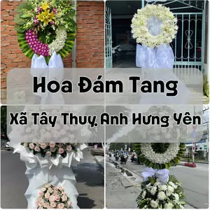 Đặt Hoa Đám Tang Xã Tây Thuỵ Anh Hưng Yên | Hoa Tang Lễ