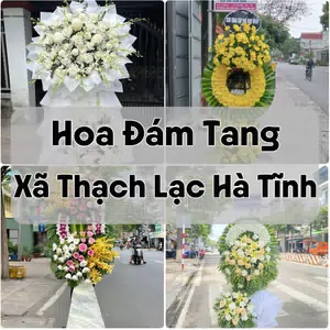 Đặt Hoa Đám Tang Xã Thạch Lạc Hà Tĩnh | Hoa Tang Lễ
