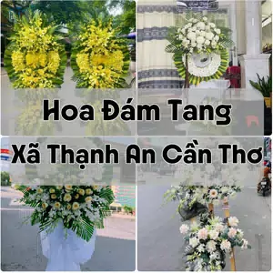 Đặt Hoa Đám Tang Xã Thạnh An Cần Thơ | Hoa Tang Lễ