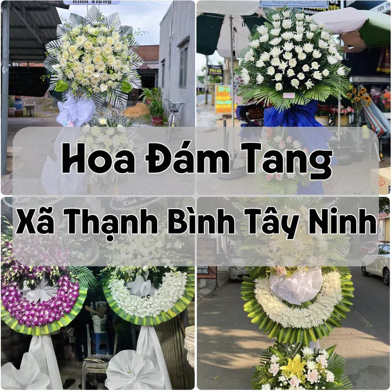 Đặt Hoa Đám Tang Xã Thạnh Bình Tây Ninh | Đặt Hoa Viếng