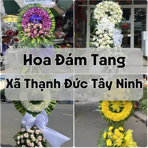 Đặt Hoa Đám Tang Xã Thạnh Đức Tây Ninh | Đặt Hoa Nhanh
