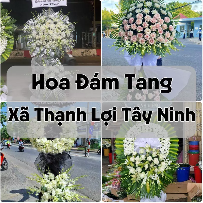 Đặt Hoa Đám Tang Xã Thạnh Lợi Tây Ninh | Đặt Hoa Nhanh