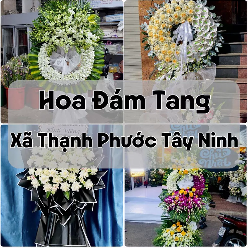Đặt Hoa Đám Tang Xã Thạnh Phước Tây Ninh | Đặt Hoa Viếng