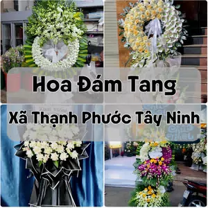 Đặt Hoa Đám Tang Xã Thạnh Phước Tây Ninh | Đặt Hoa Viếng