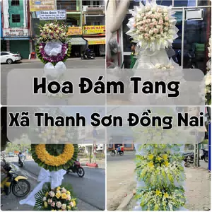 Đặt Hoa Đám Tang Xã Thanh Sơn Đồng Nai | Giao Hoa Nhanh