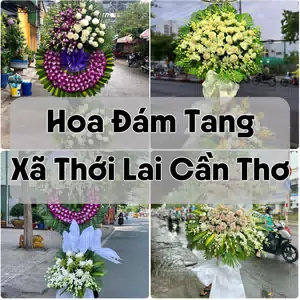 Đặt Hoa Đám Tang Xã Thới Lai Cần Thơ | Giao Hoa Nhanh