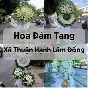 Đặt Hoa Đám Tang Xã Thuận Hạnh Lâm Đồng | Giao Hoa Nhanh
