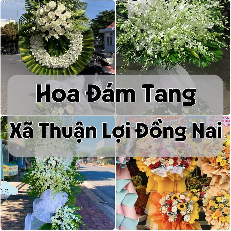 Đặt Hoa Đám Tang Xã Thuận Lợi Đồng Nai | Hoa Tang Lễ