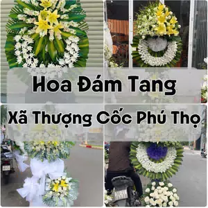 Đặt Hoa Đám Tang Xã Thượng Cốc Phú Thọ | Hoa Chia Buồn