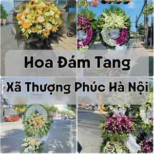 Đặt Hoa Đám Tang Xã Thượng Phúc Hà Nội | Hoa Chia Buồn