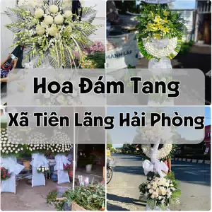 Đặt Hoa Đám Tang Xã Tiên Lãng Hải Phòng | Giao Tận Nơi