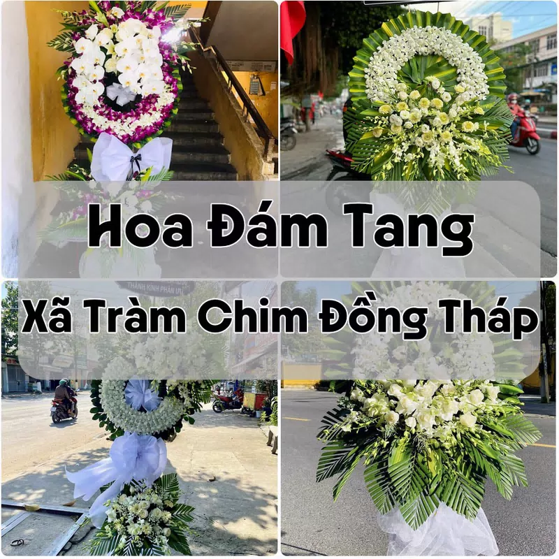 Đặt Hoa Đám Tang Xã Tràm Chim Đồng Tháp | Đặt Hoa Viếng