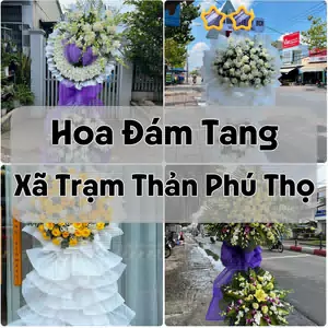 Đặt Hoa Đám Tang Xã Trạm Thản Phú Thọ | Giao Tận Nơi