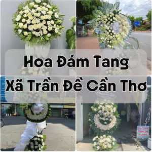 Đặt Hoa Đám Tang Xã Trần Đề Cần Thơ | Hoa Chia Buồn