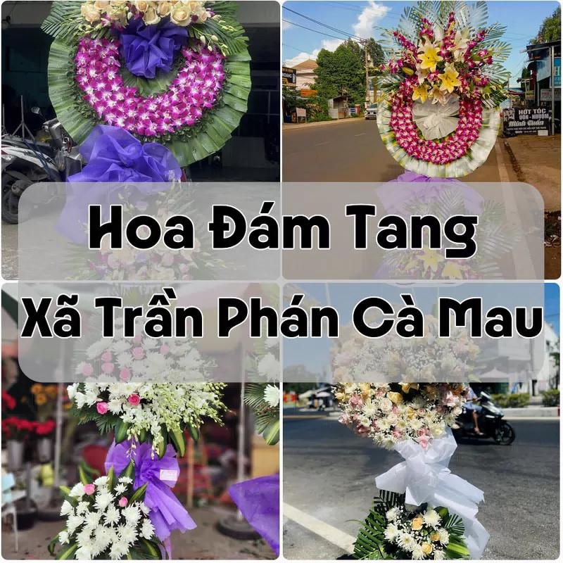 Đặt Hoa Đám Tang Xã Trần Phán Cà Mau | Đặt Hoa Nhanh