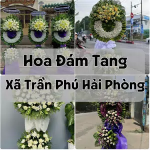 Đặt Hoa Đám Tang Xã Trần Phú Hải Phòng | Đặt Hoa Nhanh