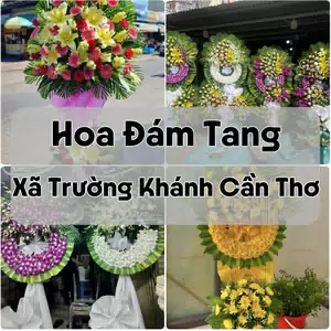 Đặt Hoa Đám Tang Xã Trường Khánh Cần Thơ | Hoa Tang Lễ