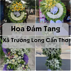 Đặt Hoa Đám Tang Xã Trường Long Cần Thơ | Giao Tận Nơi