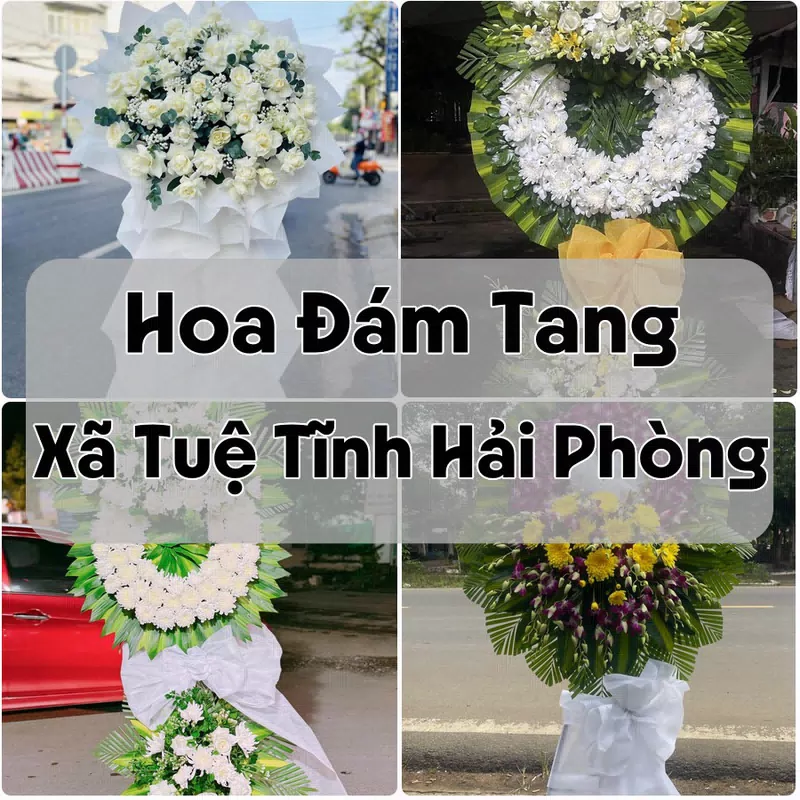 Đặt Hoa Đám Tang Xã Tuệ Tĩnh Hải Phòng | Hoa Chia Buồn