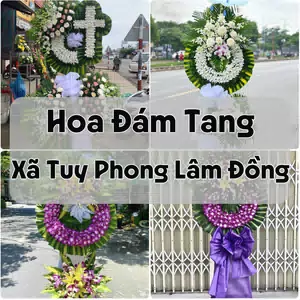 Đặt Hoa Đám Tang Xã Tuy Phong Lâm Đồng | Giao Tận Nơi
