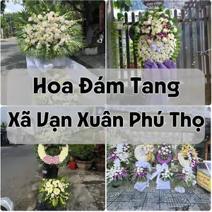 Đặt Hoa Đám Tang Xã Vạn Xuân Phú Thọ | Đặt Hoa Nhanh