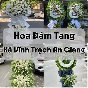 Đặt Hoa Đám Tang Xã Vĩnh Trạch An Giang | Giao Tận Nơi