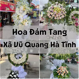 Đặt Hoa Đám Tang Xã Vũ Quang Hà Tĩnh | Hoa Tang Lễ