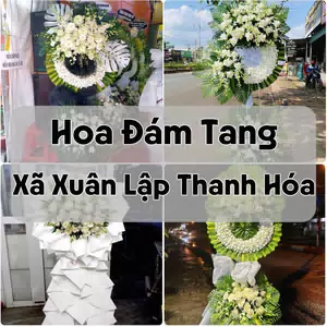 Đặt Hoa Đám Tang Xã Xuân Lập Thanh Hóa | Giao Hoa Nhanh
