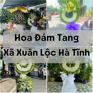 Đặt Hoa Đám Tang Xã Xuân Lộc Hà Tĩnh | Giao Tận Nơi