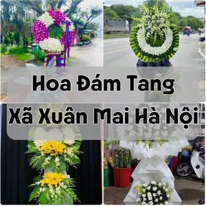 Đặt Hoa Đám Tang Xã Xuân Mai Hà Nội | Hoa Tang Lễ