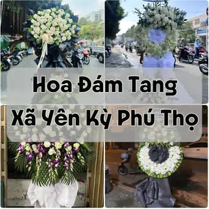 Đặt Hoa Đám Tang Xã Yên Kỳ Phú Thọ | Giao Hoa Nhanh