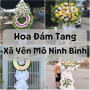 Đặt Hoa Đám Tang Xã Yên Mô Ninh Bình | Đặt Hoa Viếng