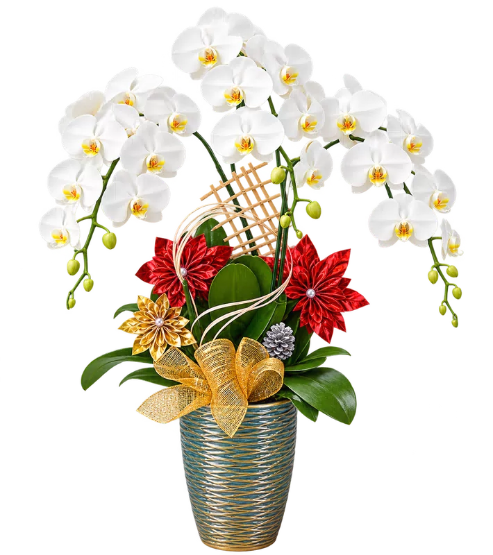 Chậu lan hồ điệp trắng - 1625
